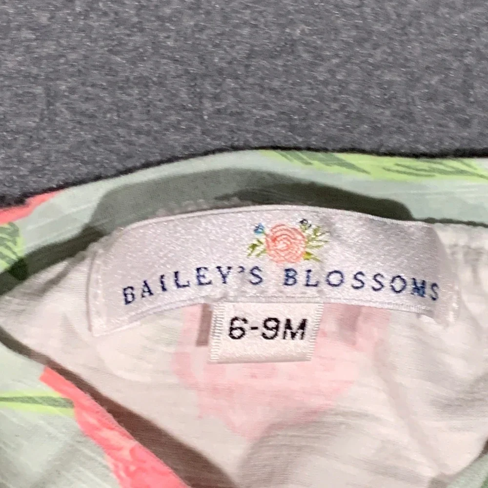 Baileys Blossoms Baby Girl Floral Dress‎ and Bloomers Set Sage Pink 6-9M